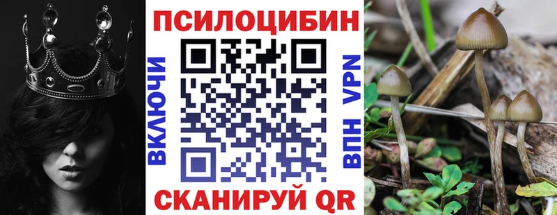 Псилоцибиновые грибы GOLDEN TEACHER где купить Воронеж